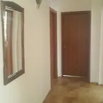 Konukevi Nelly Süzebolu